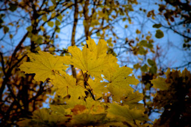 Фотограф Вениамин Чукалов