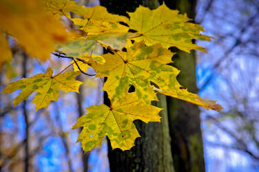 Фотограф Вениамин Чукалов