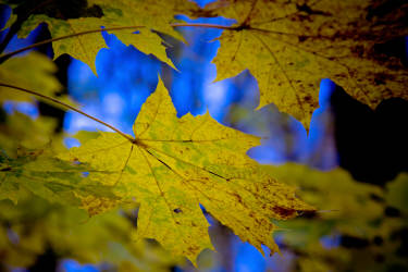 Фотограф Вениамин Чукалов