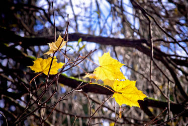 Фотограф Вениамин Чукалов