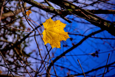 Фотограф Вениамин Чукалов