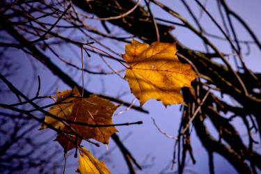 Фотограф Вениамин Чукалов