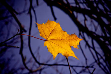 Фотограф Вениамин Чукалов