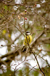 Фотограф Вениамин Чукалов