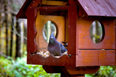 Фотограф Вениамин Чукалов
