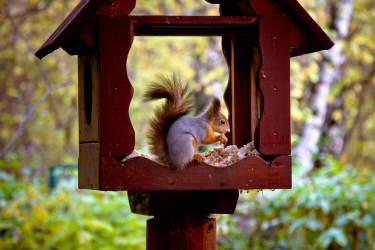 Фотограф Вениамин Чукалов