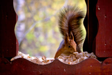 Фотограф Вениамин Чукалов