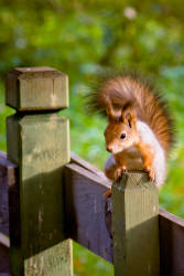 Фотограф Вениамин Чукалов