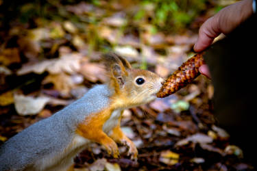 Фотограф Вениамин Чукалов