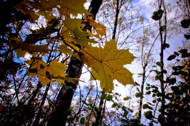 Фотограф Вениамин Чукалов