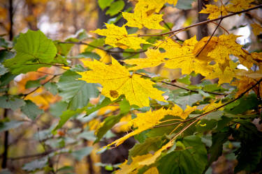 Фотограф Вениамин Чукалов