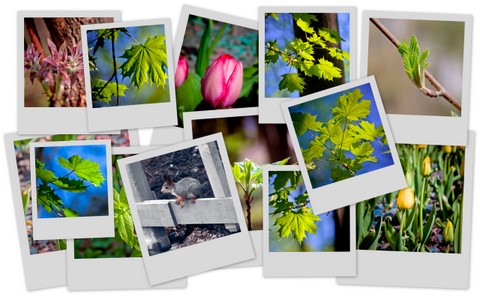 Фотограф Вениамин Чукалов