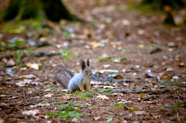 Фотограф Вениамин Чукалов