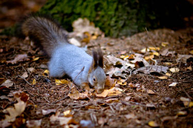 Фотограф Вениамин Чукалов