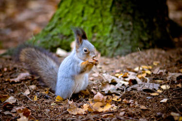 Фотограф Вениамин Чукалов