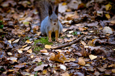 Фотограф Вениамин Чукалов