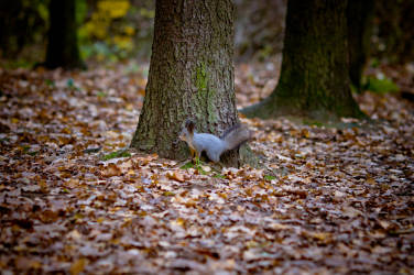 Фотограф Вениамин Чукалов