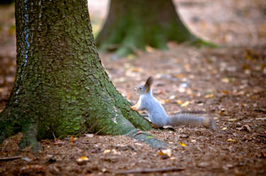 Фотограф Вениамин Чукалов