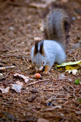 Фотограф Вениамин Чукалов