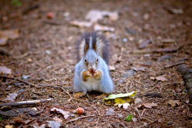 Фотограф Вениамин Чукалов