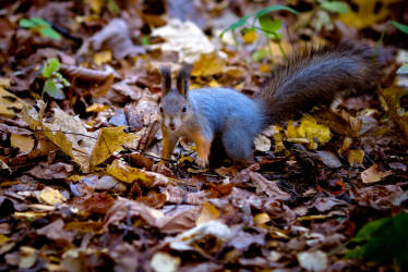 Фотограф Вениамин Чукалов