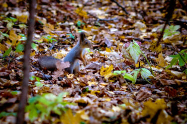 Фотограф Вениамин Чукалов