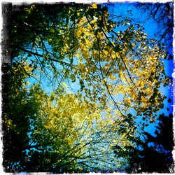 Октябрь в московском парке (фотограф Вениамин Чукалов)