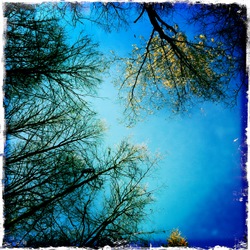 Октябрь в московском парке (фотограф Вениамин Чукалов)