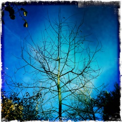 Октябрь в московском парке (фотограф Вениамин Чукалов)