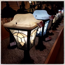 Увидел в магазине (фотограф Вениамин Чукалов)