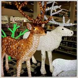 Увидел в магазине (фотограф Вениамин Чукалов)