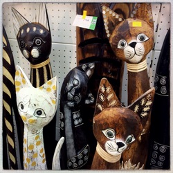 Увидел в магазине (фотограф Вениамин Чукалов)