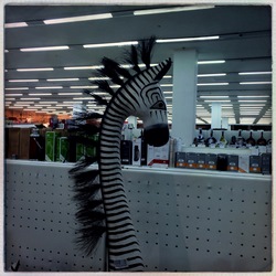 Увидел в магазине (фотограф Вениамин Чукалов)