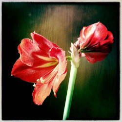 Фотограф Вениамин Чукалов