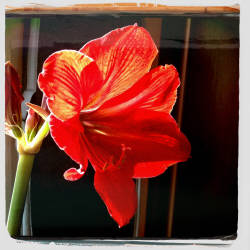 Фотограф Вениамин Чукалов