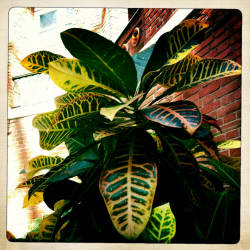 Фотограф Вениамин Чукалов