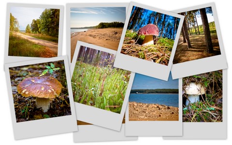 Фотограф Вениамин Чукалов