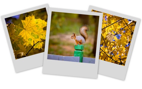 Фотограф Вениамин Чукалов