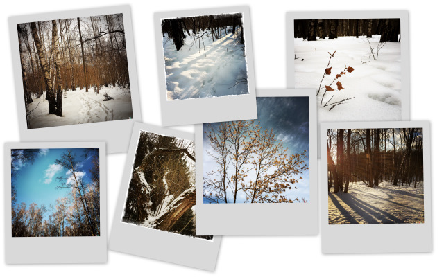 Фотограф Вениамин Чукалов