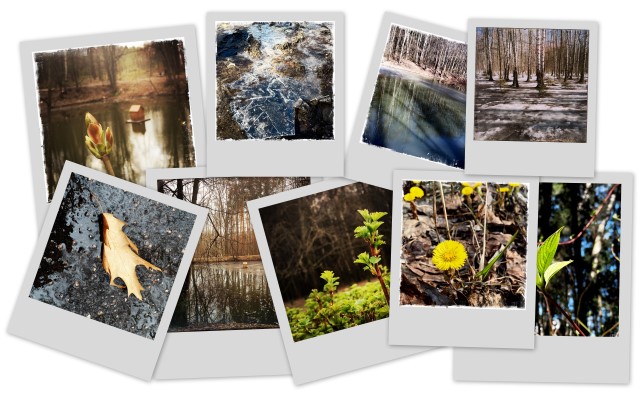 Фотограф Вениамин Чукалов