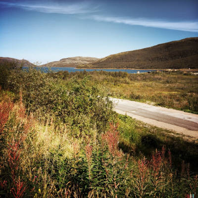 Ара-Губа, август 2016 года