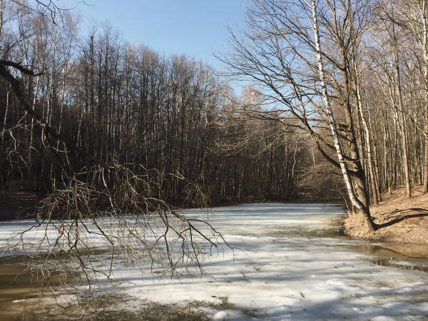 Фотограф Вениамин Чукалов