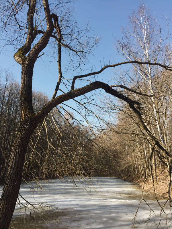 Фотограф Вениамин Чукалов