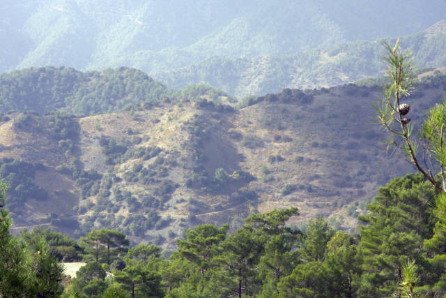 Фотограф Вениамин Чукалов Фотограф Вениамин Чукалов