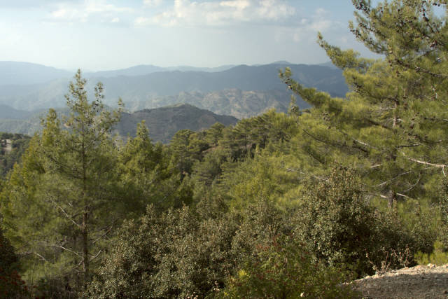 Фотограф Вениамин Чукалов Фотограф Вениамин Чукалов