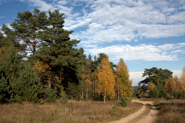 Фотограф Вениамин Чукалов Фотограф Вениамин Чукалов
