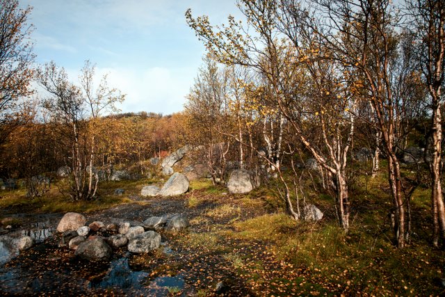 Фотограф Вениамин Чукалов Фотограф Вениамин Чукалов