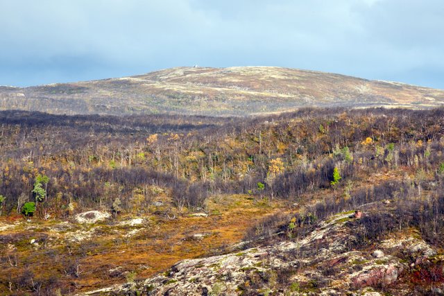 Фотограф Вениамин Чукалов Фотограф Вениамин Чукалов