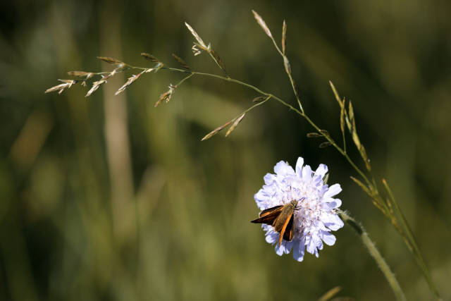 Лето 2019 года. Фотограф Вениамин Чукалов. Лето 2019 года. Фотограф Вениамин Чукалов.