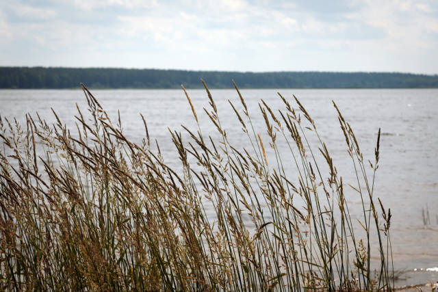 Лето 2019 года. Фотограф Вениамин Чукалов. Лето 2019 года. Фотограф Вениамин Чукалов.